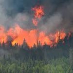 Canada Braces for Potentially Devastating Wildfire Season, Warns Government