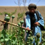 Surge in Synthetic Drug Production in Afghanistan